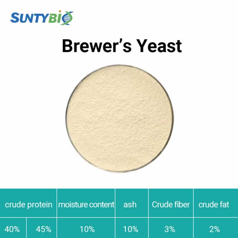 Brewer’s yeast