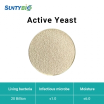 Levadura activa (Saccharomyces cerevisiae)